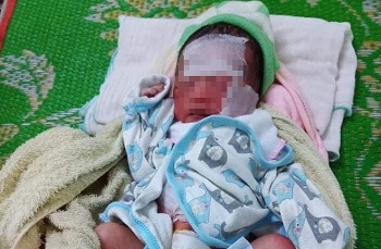 Bé gái sơ sinh bị bỏ rơi cả ngày giữa vườn bắp