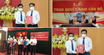 ha tinh an giang quang ngai bo nhiem hang loat nhan su lanh dao moi