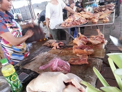Giá thịt gà trong nước giảm do gà nhập khẩu?