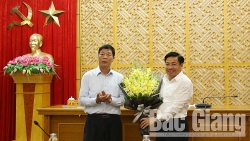 hai hlv mon vat o bac giang bi to gia ho so vdv de truc loi