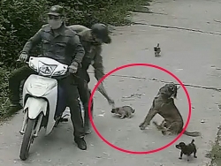 nghi trom cho 2 thanh nien bi vay danh thuong vong dot xe may