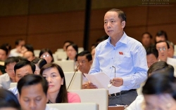 sau gian cach xa hoi tra da via he dong nghit khach