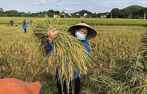 viet nam xac dinh 17 muc tieu phat trien ben vung den nam 2030