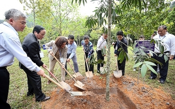 Đối ngoại nhân dân trong tình hình mới