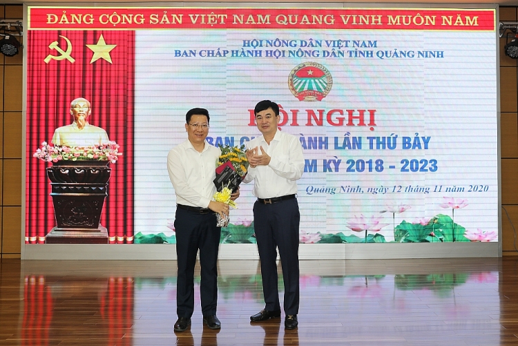 Hải Phòng, Quảng Ninh, An Giang kiện toàn nhân sự, bổ nhiệm lãnh đạo mới