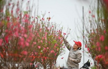 Tết Dương lịch 2022, người lao động được nghỉ 3 ngày liên tiếp