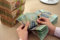 du bao thoi tiet tet duong lich 2019 bien dong co the don bao