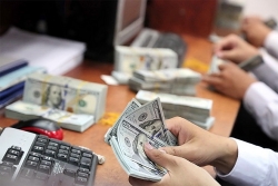 dong usd tiep tuc treo cao truoc dien bien phuc tap cua covid 19