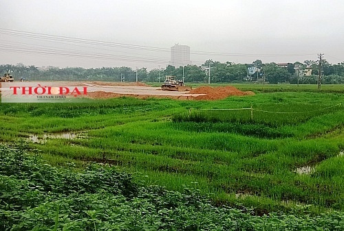 du an kdt moi tay nam viet tri ngang nhien san lap khi chua co quyet dinh cua ubnd tinh