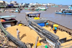 ba ria vung tau gia han tam giu hinh su 2 doi tuong lien quan den cong ty alibaba