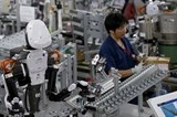 video con nguoi se the nao khi bi robot tan cong