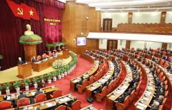 ngay lam viec thu nhat hoi nghi trung uong lan thu 11