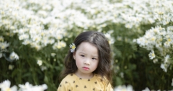 ngam canh dong cuc tien vua ruc vang don tet