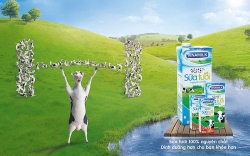 vinamilk bac tin don sai su that ve nguyen lieu san xuat sua
