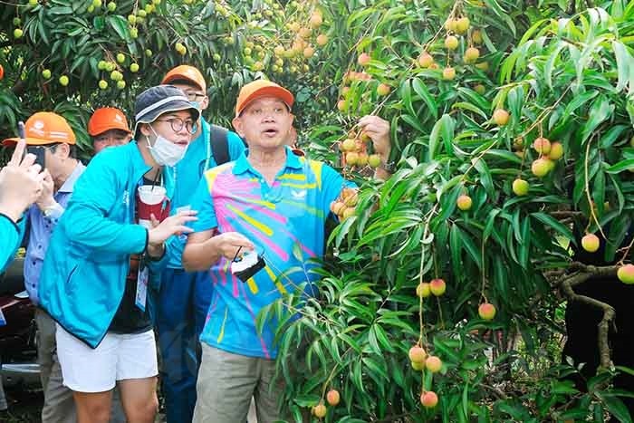 Hải Dương trong mắt du khách quốc tế - BaoHaiDuong