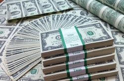 Tỷ giá ngoại tệ hôm nay 6/7: Đà rơi dừng lại, USD ổn định