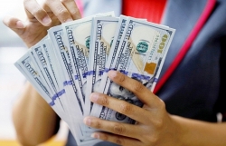 Tỷ giá ngoại tệ hôm nay 23/7: Áp lực lớn, USD tăng giá