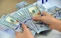 Tỷ giá ngoại tệ hôm nay 1/8: Chờ tín hiệu từ Fed, USD tiếp tục treo cao