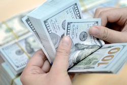 Tỷ giá ngoại tệ hôm nay 5/8: USD tiếp tục giảm, Euro tăng nhẹ