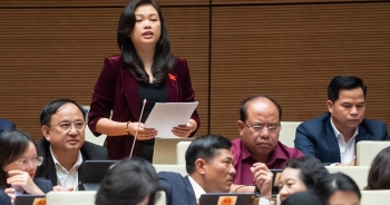 Đại biểu Quốc hội: Việc khống chế tỷ lệ sở hữu vốn ngân hàng không có nhiều ý nghĩa
