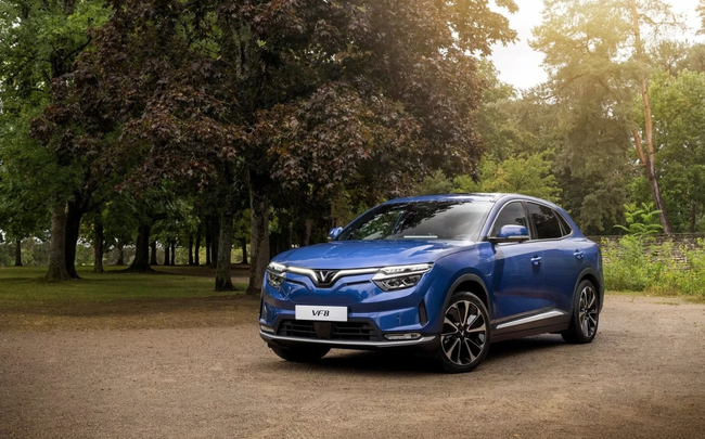 VinFast bàn giao xe VF 8 ở Mỹ, sẵn sàng đấu Tesla  ảnh 3