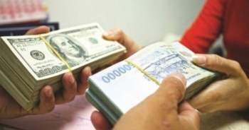 Chuyên gia: Lãi suất là công cụ hữu hiệu nhất để kiểm soát đồng VND