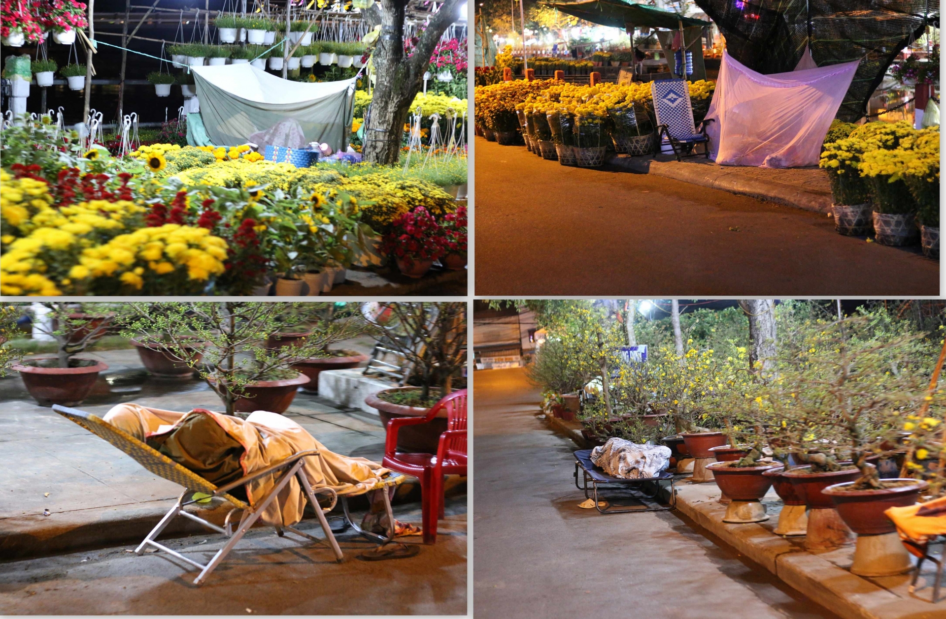 can canh nhung nguoi ban sac xuan giua tay do nhung ngay giap tet