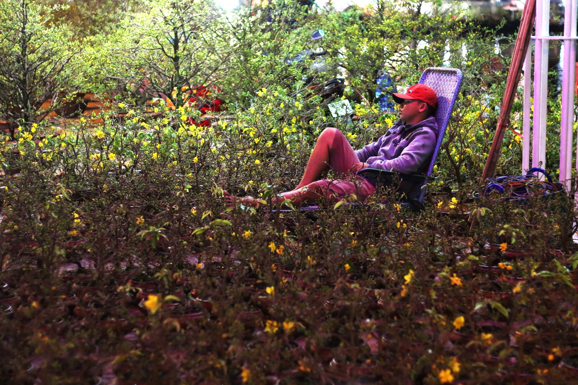 can canh nhung nguoi ban sac xuan giua tay do nhung ngay giap tet