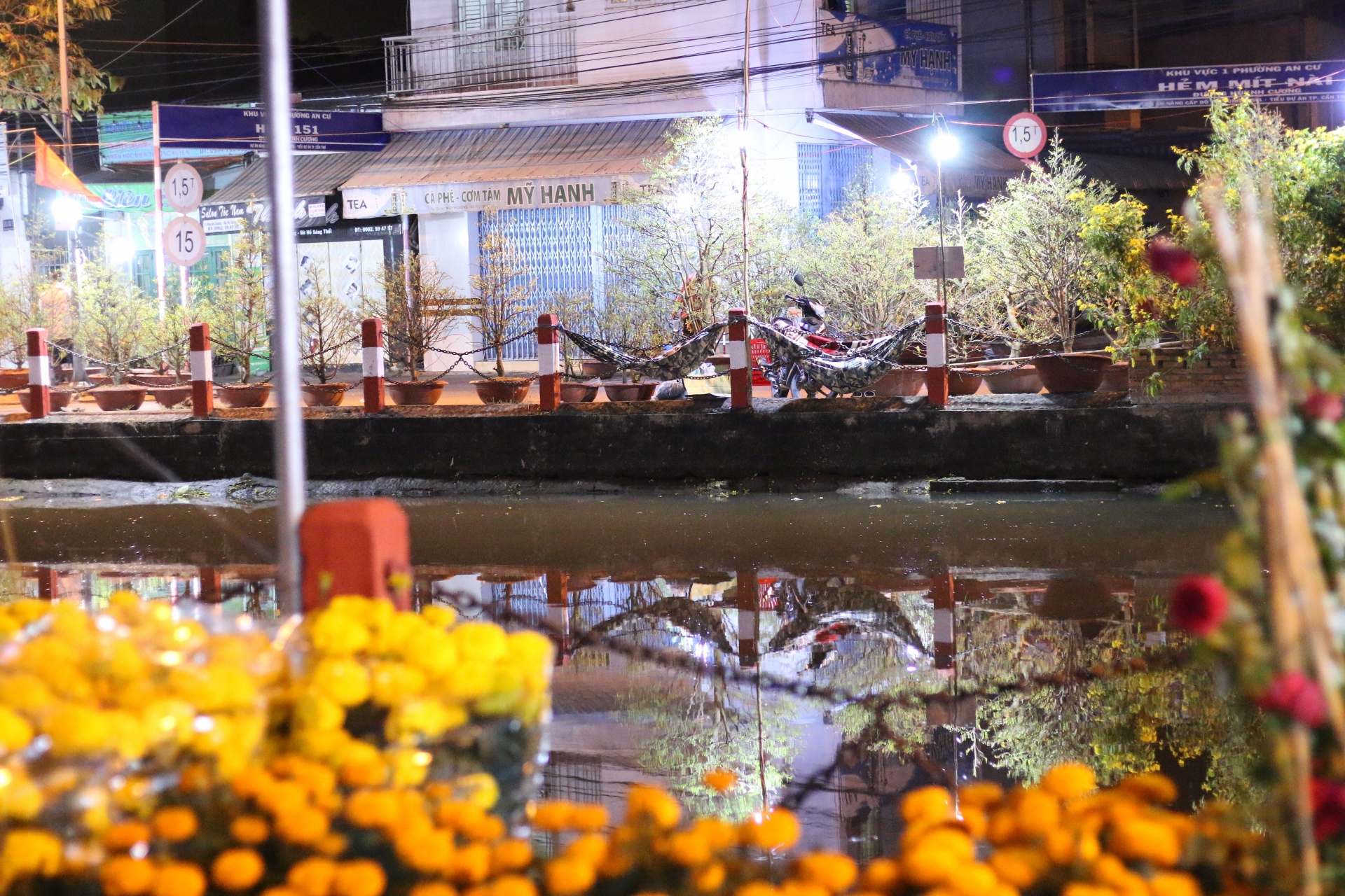 can canh nhung nguoi ban sac xuan giua tay do nhung ngay giap tet