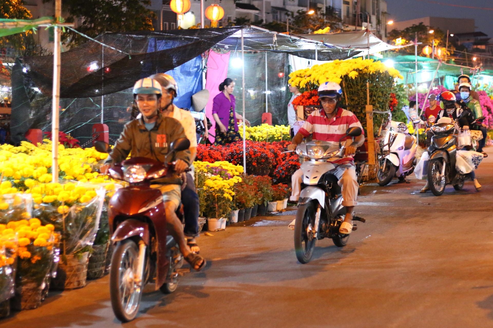 can canh nhung nguoi ban sac xuan giua tay do nhung ngay giap tet