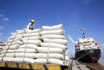 Cần Thơ khởi động chương trình hỗ trợ doanh nghiệp xuất khẩu vào thị trường Hà Lan