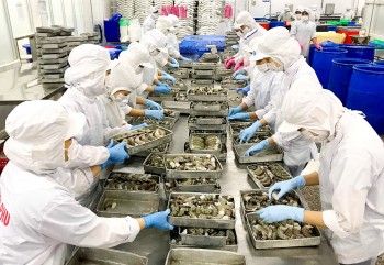Ngành tôm phấn đấu đạt kim ngạch xuất khẩu trên 4 tỷ USD trong năm 2022