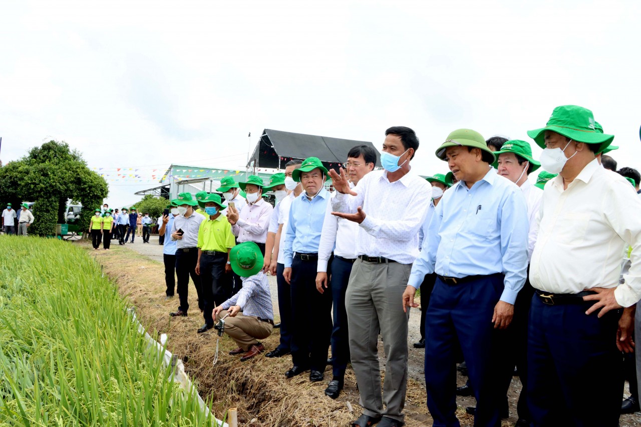 Chủ tịch nước Nguyễn Xuân Phúc đánh giá cao mô hình Hội quán tại Đồng Tháp