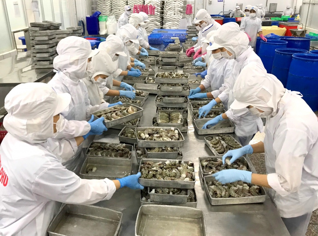 doanh nghiep che bien thuy san dau dau tinh trang lao dong bo viec