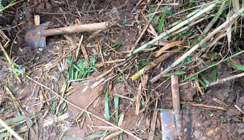 dan buc xuc viec chon heo chet gan khu dan cu o can tho