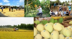 Huy động gần 80.000 tỷ đồng của người dân, cộng đồng vào xây dựng nông thôn mới