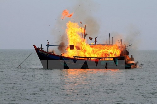 nam 2015 indonesia danh chim 157 tau ca danh bat trai phep