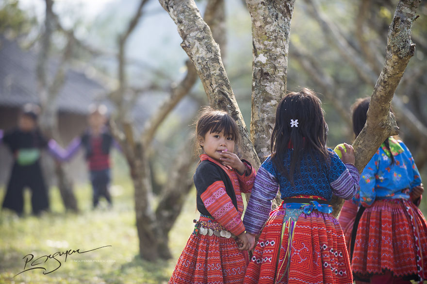 bo anh tuyet dep ve ngay tet cua dong bao dan toc hmong o moc chau