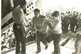 toi muon tro lai viet nam mai mai o lai day