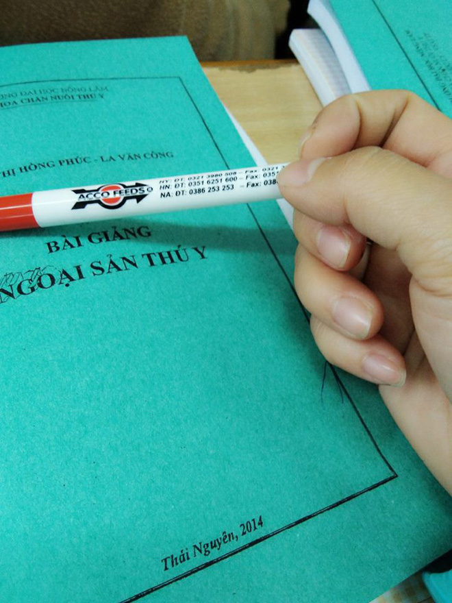 cau chuyen nho dang yeu cua nu sinh sang lam luan an chieu nang niu dan lon