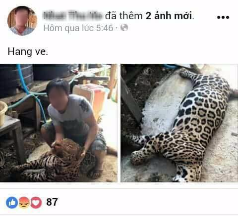 khoe chien tich san thu quy hiem tren facebook thanh nien bi cu dan mang chi trich