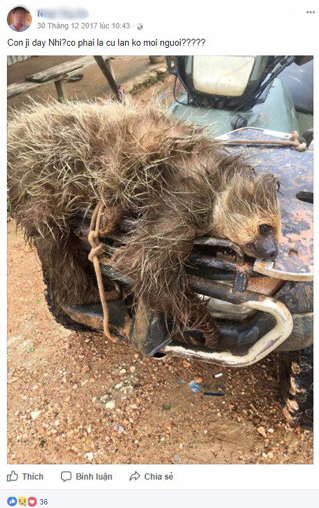 khoe chien tich san thu quy hiem tren facebook thanh nien bi cu dan mang chi trich