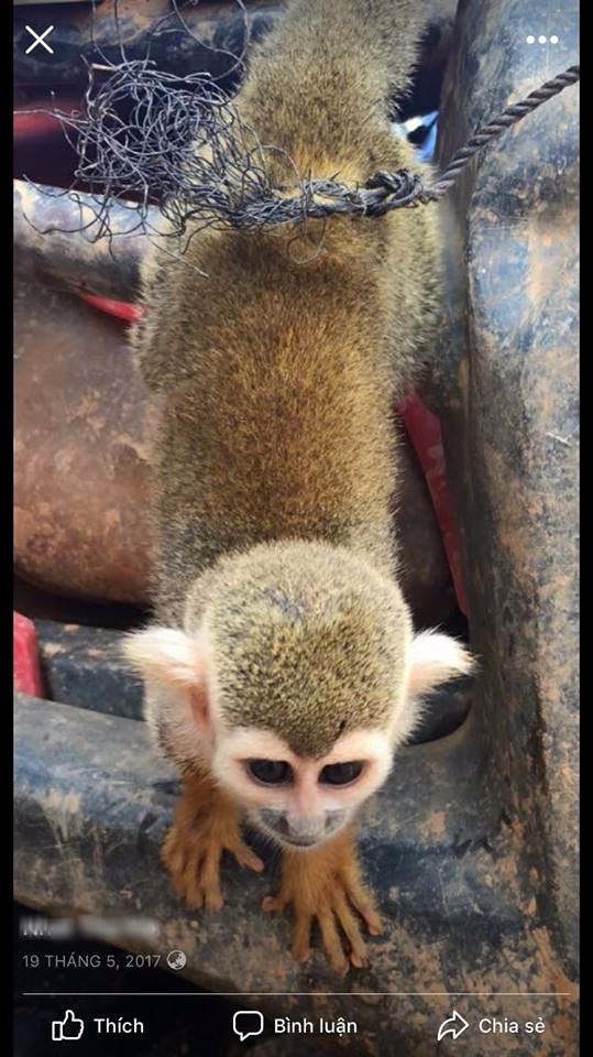 khoe chien tich san thu quy hiem tren facebook thanh nien bi cu dan mang chi trich