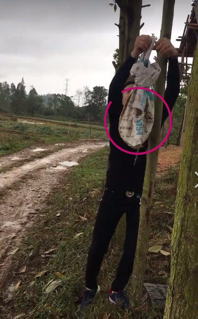 cai ket nhoe nhoet cua hai thanh nien banh bao cuoi sh di tan gai ngay mua