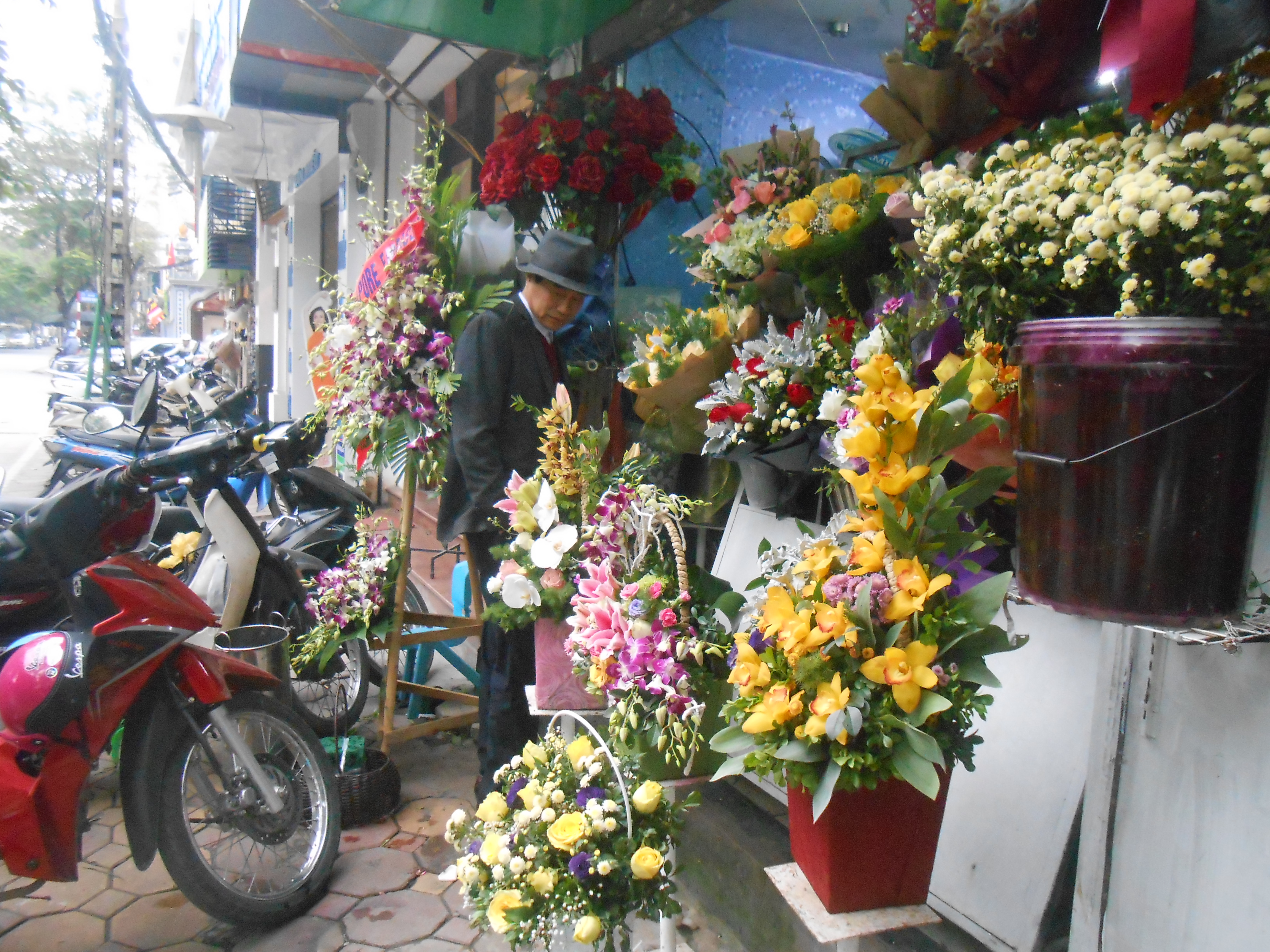 hoa phuong dong noi truyen lua cho nhung nguoi yeu hoa