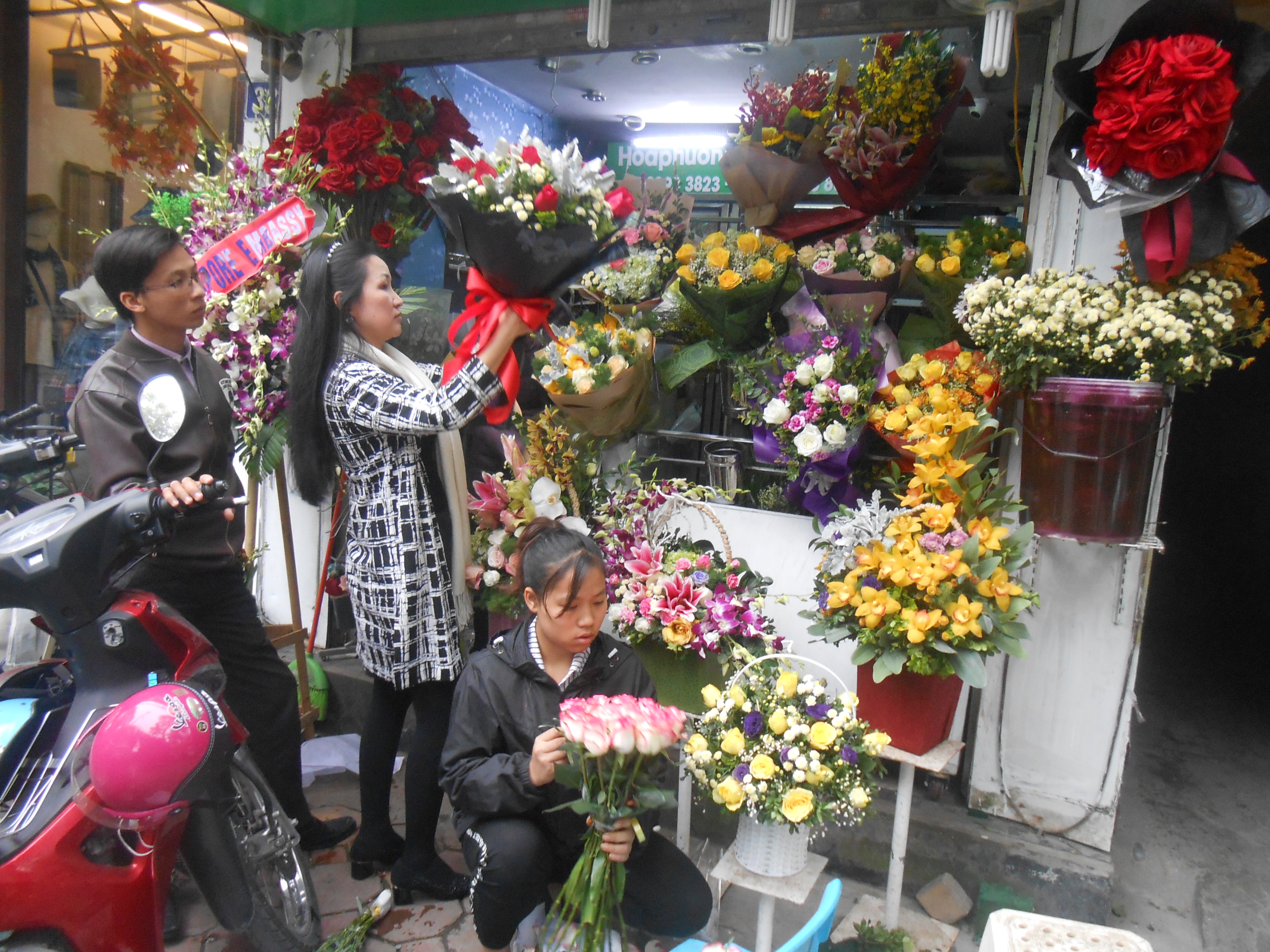 hoa phuong dong noi truyen lua cho nhung nguoi yeu hoa