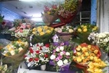 hoa phuong dong noi truyen lua cho nhung nguoi yeu hoa