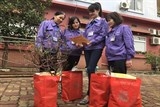 5 truong hop nghi huu truoc tuoi van huong nguyen luong trong nam 2020