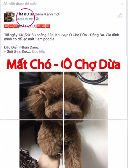 thanh nien lap fanpage va chay quang cao chi voi muc dich tim cho cung di lac