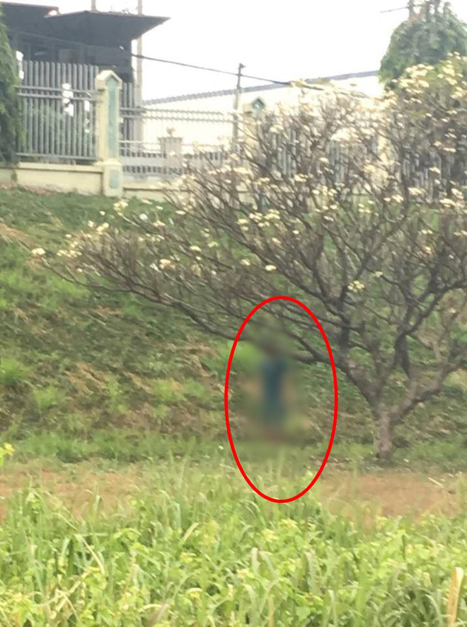 nguoi dan ong chet trong tu the treo co tren cay hoa su chan chi cach mat dat vai cm